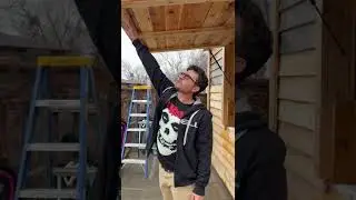 GAS STRUTS ON SHED DOOR #carpentry #shorts #shed
