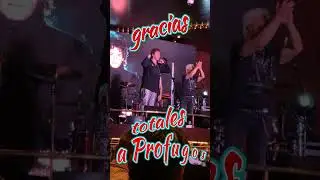 Noche tributo a Soda Stereo 