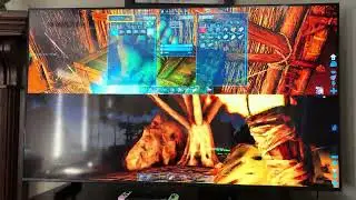 Ark part 5