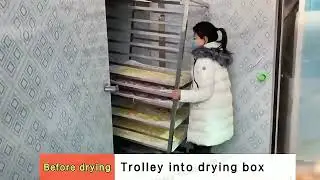 High efficiency heat pump drying room - onion, ginger, garlic, etc. drying machine