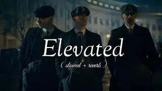 Elevated I Shubh [Slowed+Reverb] Song🎶