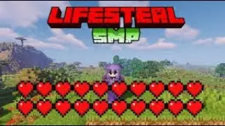 How to join a public lifesteal server (stealfun)