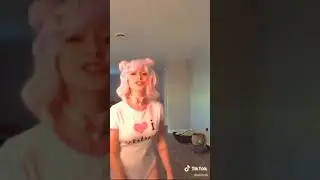 animidi