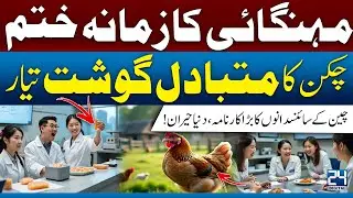 No More Inflation? China Introduces Lab-Made Chicken Alternative &ndash; See the Details! I 24 Digital
