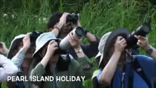 ویدئو تصویری - صباح برنیو Pearl Island Holiday