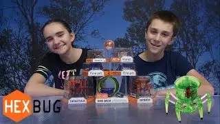 Huge HEXBUG Haul and BATTLE! Sis Vs Bro