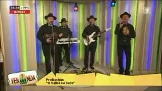 ProBachus - O halba cu bere