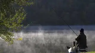 Wann se moies fëschen gin