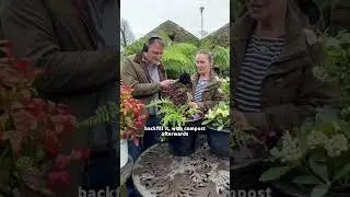 Adding a Christmassy touch to your plants.