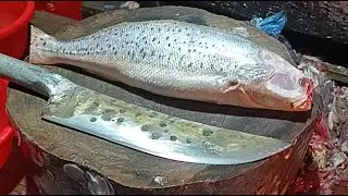 Uzzal Fish Cutting Various types of fish cutting 🐠🐟🐠plese joyan &enyoy my live.@2ufc