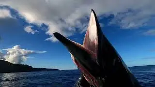 Wahoo Series Part 3 , catching wahoo with a spoon