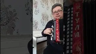 Christmas music #harmonica #accordion #cover #музыка #music #russianfolk #folkmusic