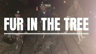 Fur In The Tree (lyric video)