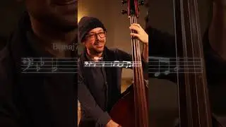 Present & Optimistic Bass Lines