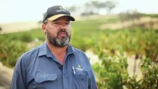 Craig Richards Vineyard Manager