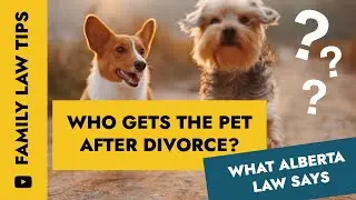 Who Gets the Pet After Divorce? What Alberta Law Says #familylaw #divorce #pets #alberta