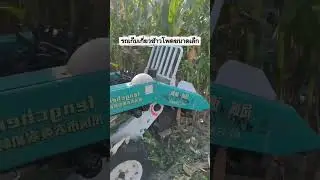 Corn harvester #farming