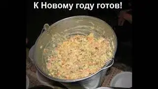 ГЛОБАЛЬНЫЙ СИНТОЛ ТАНЦУЮЩИЙ КОТ