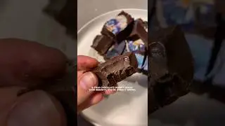 Functional Chocolate Fudge with Pau d&rsquo;Arco 🍫 | 3-Ingredient Hormone-Friendly No Sugar Treat