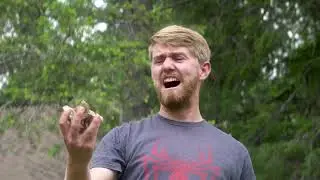 Summer Rules Video 2023