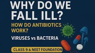 Why Do We Fall Ill? Part-3 | How Antibiotics Work | Penicillin Discovery | Class 9 & NEET Foundation
