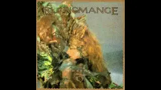 Blancmange  - Waves - Vinyl, 12