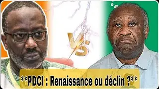 PDCI apr&egrave;s 2025 : crise ou renaissance ?