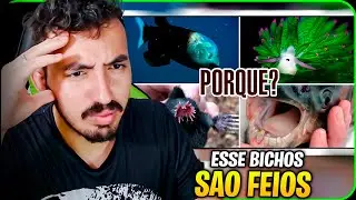 ANIMAIS QUE NÃO DEVERIAM EXISTIR - André Young | Leozin React