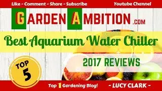 Best Aquarium Water Chiller 2017 (5 BEST REVIEWS)