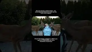 Magical Moment: Wild Deer Wake Sleeping Girl with Kisses! (So Heartwarming)