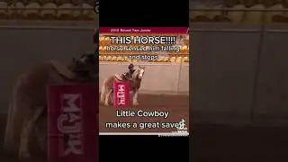 Would your horse save you? Let&rsquo;s ask! Link is in the bio. #animalcommunicator #horses #petpsychic
