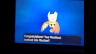 Shiny Hoothoot evolves into Shiny Noctowl