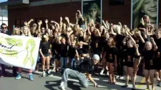 Dancers Against Cancer National Dance Day Video