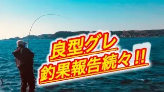 デカグレ獲ったどー！！今シーズン記録更新！【フカセ釣り】