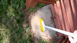 Dog is scared of broom