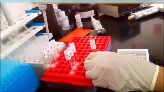 FactorXa Demo