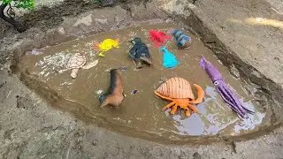Cleaning toy penguin, octopus, seal, hermit crab,starfish, otter, turtles. || toy world ||