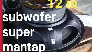 Subwofer 12