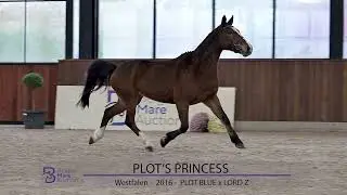 PLOT&rsquo;S PRINCESS