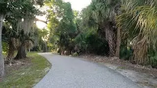 Virtual Hike | Billy Creek Preserve and Filter Marsh | Relaxing Sounds | HD Nature Video