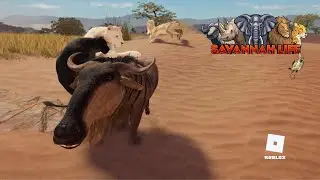 FUGI DE UM BANDO ENORME DE LEÕES! 😱 O GNU solitário no Savannah Life (Roblox)