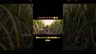 😱🐆Oops! बिबट्या परत आला🙇😰#बिबट्या #trending #comedy #shorts #viralshorts