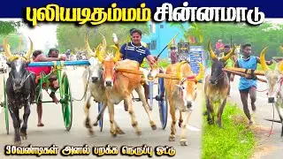 புளியடித்தமாம் சின்னமாடு 2 பந்தயம் 01.01.2026