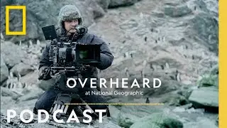 Внутри эпического мира Берти Грегори | Подкаст | Подслушано в National Geographic