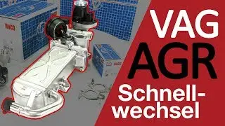 Fehler beim VW AGR ? Fehler finden und AGR Ventil ersetzen | Astemo Aftermarket Germany