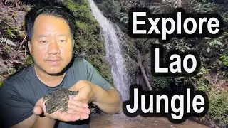 Exploring Lao jungle looking for Lao Rare salamander