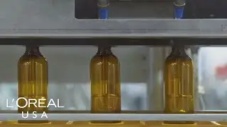 Beauty in Motion - All Bottled Up