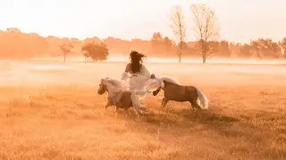 DANCINGHORSES