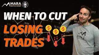 When to Cut a Losing Trade (TMC Show)