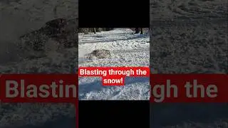 can nothing stop this 6S mojave? #rc #arrma #snow #offroad  #speed